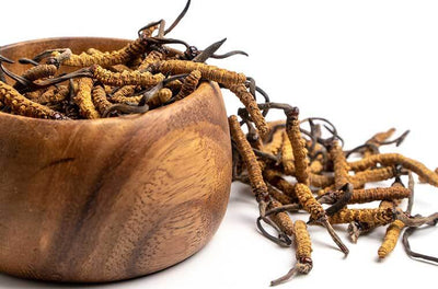 Elevate Your Health with Cordyceps: Tips for Choosing the Best Quality and Potency