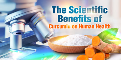10 Proven Health Benefits of Curcumin You Need to Know