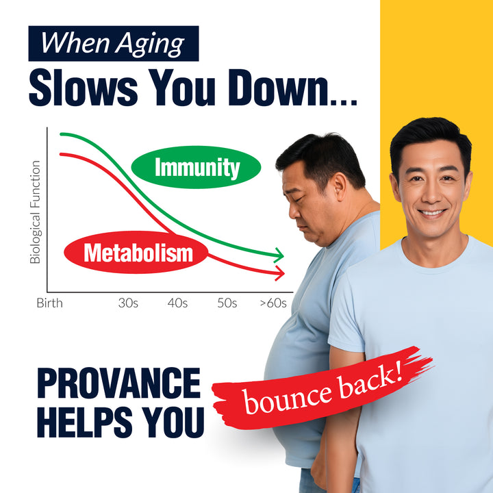 LABO Nutrition PROVANCE - 7 Mushroom &amp; Sea Kelp Extracts - Immune Metabolic Weight Gum Oral Energy GLP-1 Health • 90s - Lifestream Group US