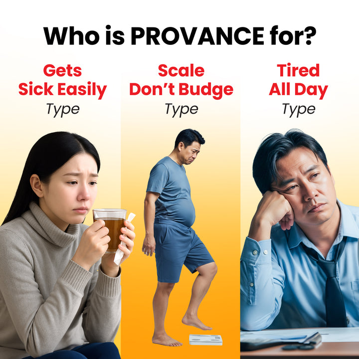 LABO Nutrition PROVANCE - 7 Mushroom &amp; Sea Kelp Extracts - Immune Metabolic Weight Gum Oral Energy GLP-1 Health • 90s - Lifestream Group US
