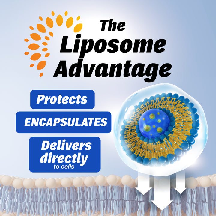 LABO Liposomal Vitamin D3, High Potency Vegan-Sourced for Optimal Absorption, Sustained Release, 470% Bioavailable, Boost Immunity, Bone &amp; Brain Health, 240 Days Supply, Non-GMO, Gluten Free - Lifestream Group US