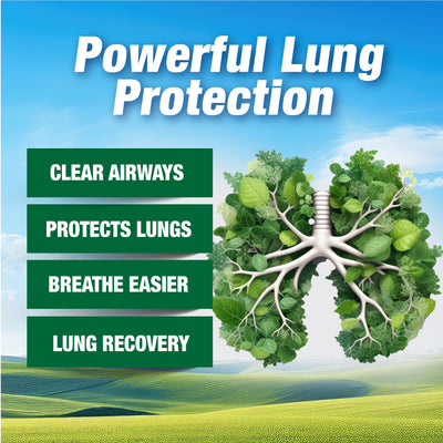 LABO Nutrition Perfect Quercetin for Immune Lung Respiratory Sinus Congestion Allergy - Lifestream Group US