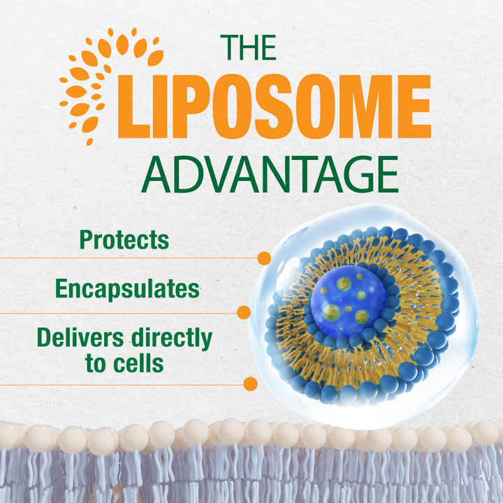 LABO Nutrition Liposomal Vitamin D3, High Potency Vegan-Sourced for Optimal Absorption, Sustained Release, 470% Bioavailable, Boost Immunity, Bone &amp; Brain Health, 240 Days Supply, Non-GMO, Gluten Free - Lifestream Group US