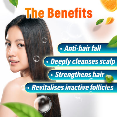 AFC Shokaigan Shampoo Anti Hair Loss Root Booster Scalp Cleanse Hydration Growth - Rich Amino Acids - Lifestream Group US