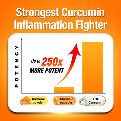 LABO Nutrition FlexC MAX EX 节适灵EX - Turmeric Curcumin Extract - Joint Body Muscle Pain Relief - Lifestream Group US