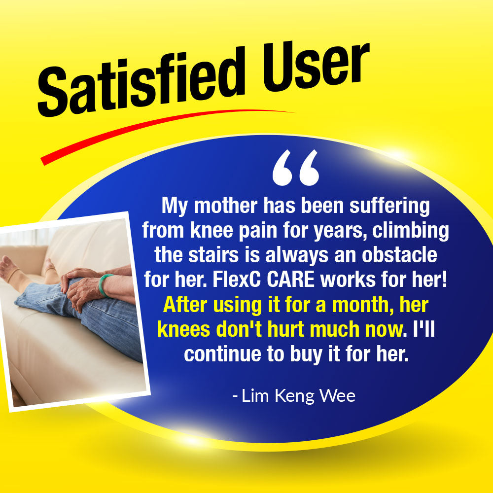 LABO FlexC MAX EX + FlexC CARE EX Knee Joint Muscle Stiff Pain Relief Curcumin Collagen - Lifestream Group US