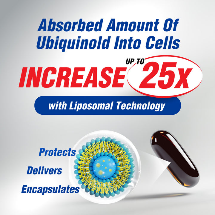 LABO CardioREGAIN EX Ubiquinol CoQ10-Heart Health Energy &amp; Healthy Blood Pressure - Lifestream Group US