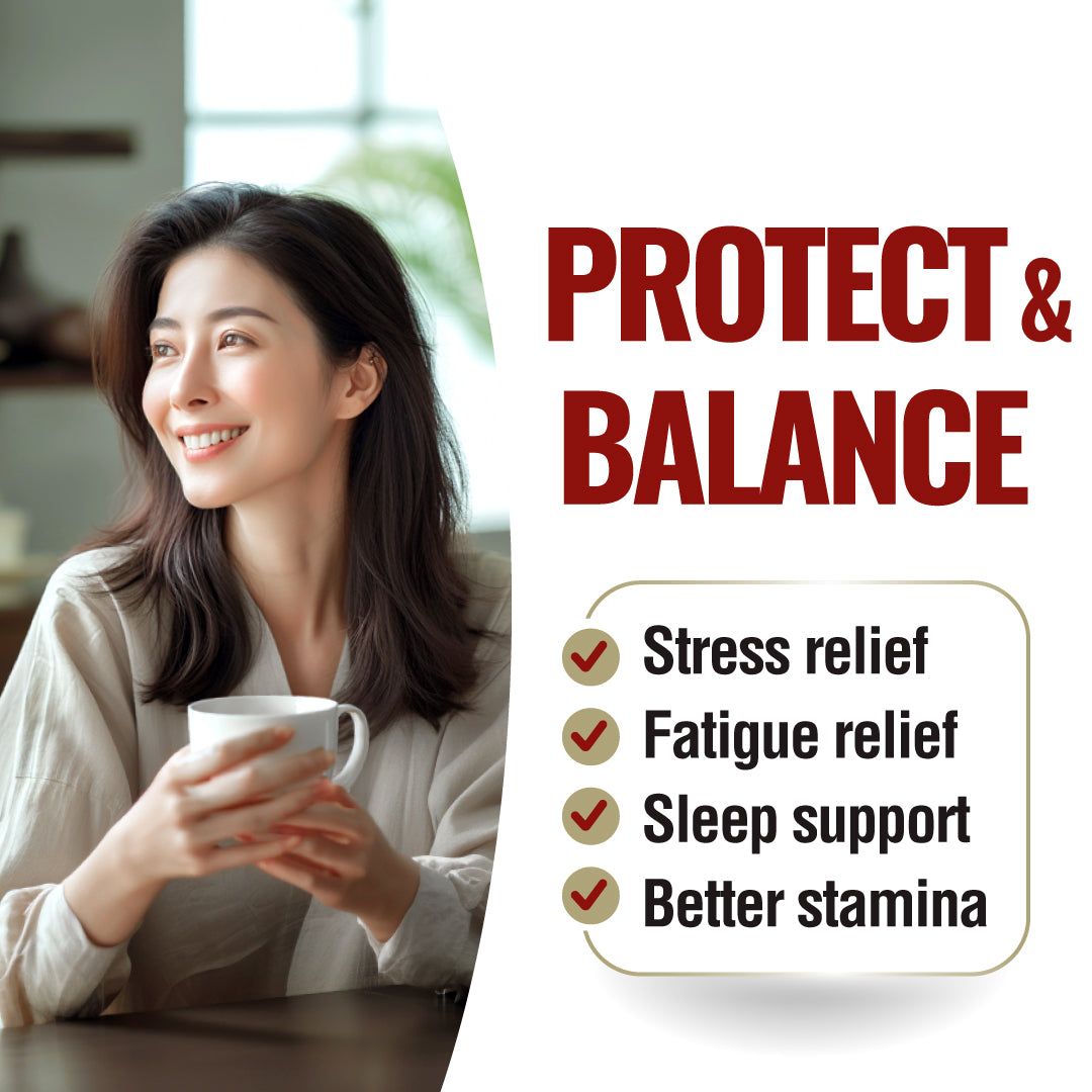 LABO Nutrition Bioactive Organic Lingzhi - Immunity Sleep Support & Stress Relief - Lifestream Group US