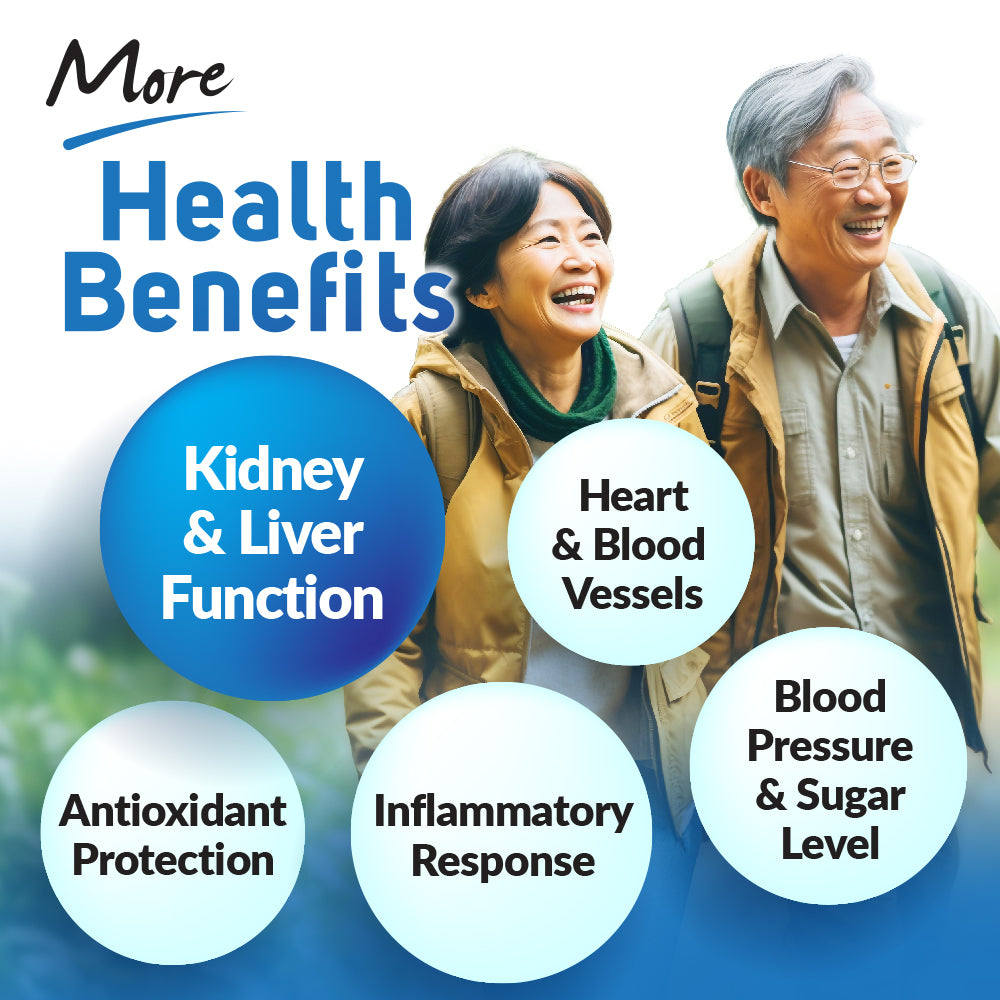 LABO URICRestore - Uric Acid Cleanse &amp; Support, Joint Discomfort Relief, Kidney Support, Powerful Antioxidant, Research-Backed Formula, Immediate Relief, 1 Capsule Daily, 2 Months Supply - Lifestream Group US