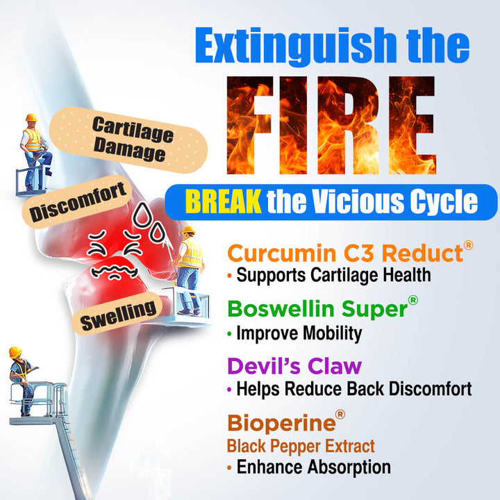 LABO Nutrition FlexC MAX EX 节适灵EX - Turmeric Curcumin Extract - Joint Body Muscle Pain Relief - Lifestream Group US