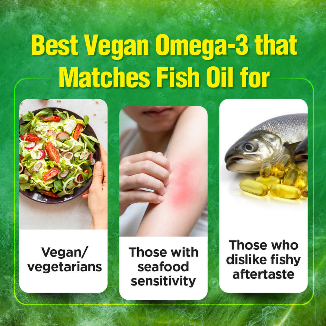 LABO Nutrition OmaxPure Vegan Omega-3 Algae Oil, IAOS-Certified Algae Oil As Good As Fish Oil High DHA EPA for Heart Eye Brain Joint Health - Lifestream Group US