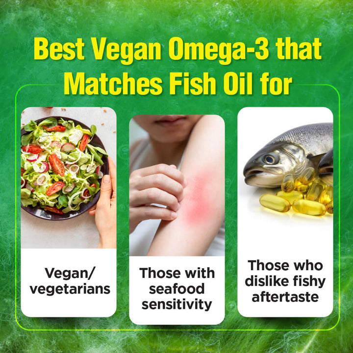 LABO Nutrition OmaxPure Vegan Omega-3 Algae Oil, IAOS-Certified Algae Oil As Good As Fish Oil High DHA EPA for Heart Eye Brain Joint Health - Lifestream Group US