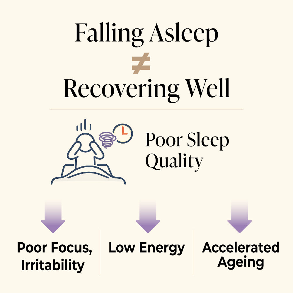 LABO Nutrition Sleep DR熟睡宁 - 失眠补充剂  含有天然 GABA  不含褪黑激素