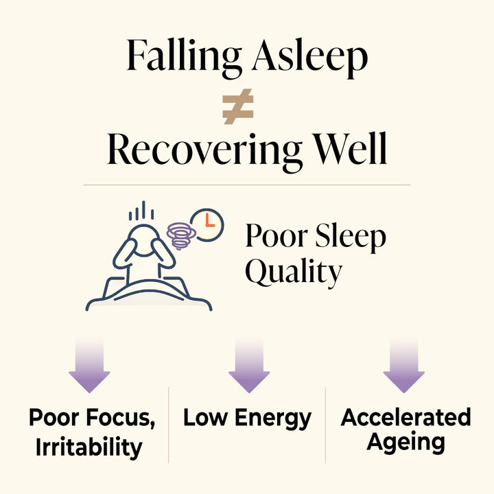 LABO Nutrition Sleep DR熟睡宁 - 失眠补充剂  含有天然 GABA  不含褪黑激素