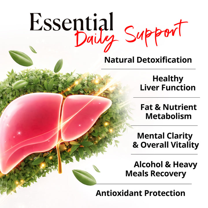 AFC Ultimate Liver Care  究极护肝素 养肝 排毒 护肝 补肝 解酒 姜黄素 Natural Liver Detox for Fatty Liver &amp; Hangover - Turmeric Curcuminoid