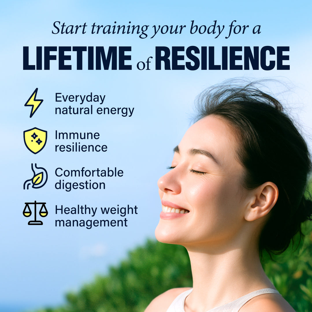LABO Nutrition PROVANCE - 7 Mushroom &amp; Sea Kelp Extracts - Immune Metabolic Weight Gum Oral Energy GLP-1 Health • 90s - Lifestream Group US