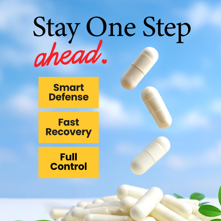 LABO Nutrition PROVANCE - 7 Mushroom &amp; Sea Kelp Extracts - Immune Metabolic Weight Gum Oral Energy GLP-1 Health • 90s - Lifestream Group US