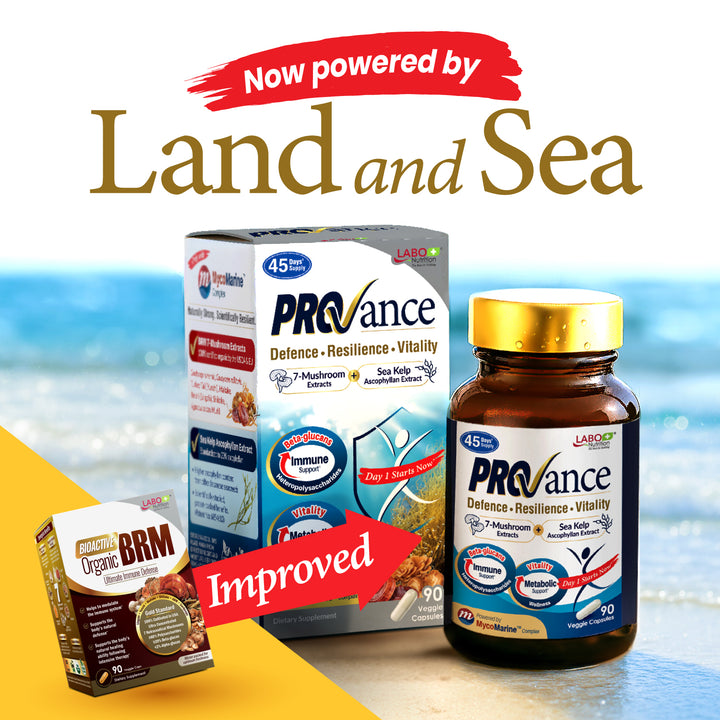 LABO Nutrition PROVANCE - 7 Mushroom &amp; Sea Kelp Extracts - Immune Metabolic Weight Gum Oral Energy GLP-1 Health • 90s - Lifestream Group US