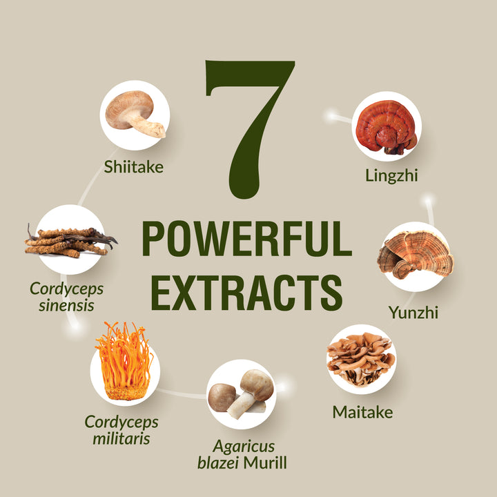 LABO Bioactive Organic Agaricus Blazei Murill+7 Mushroom Extracts-Immunity &amp; Blood Glucose - Lifestream Group US