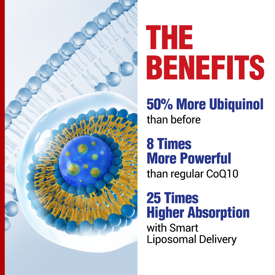 LABO Nutrition CardioREGAIN EX – Ubiquinol CoQ10 Supplement with Kaneka QH 150mg, Olive Fruit Extract (25% Hydroxytyrosol), Krill Oil – Heart, Cellular Energy, Liposomal Absorption, Non-GMO, Soy-Free - Lifestream Group US