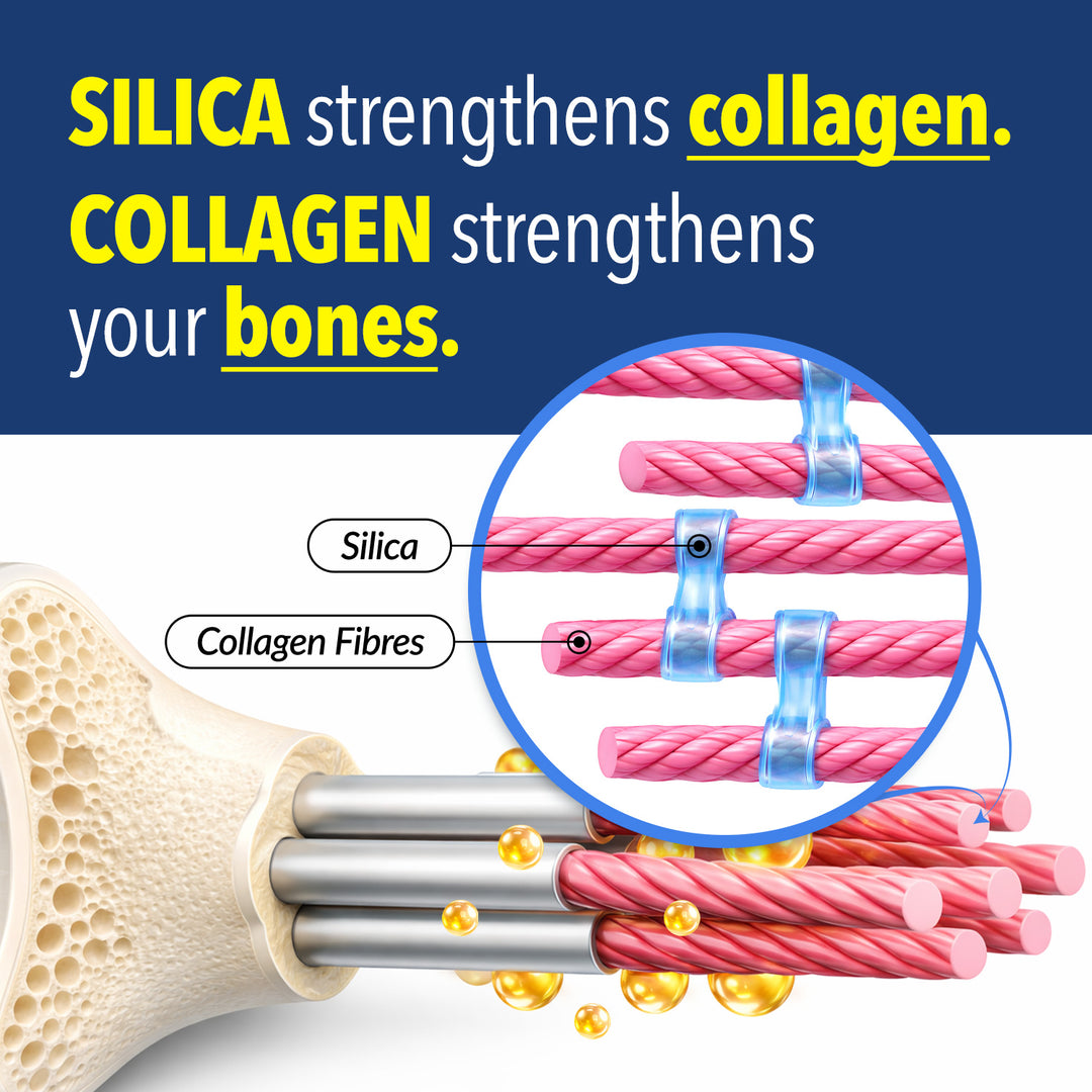 LABO Nutrition Bioactive Silica | Vegan Support for Strong Joint, Bones &amp; Healthy Collagen Production, Glowing Skin, Strong Hair &amp; Nails | 99% Purity Rice-Derived Silica Supplement, 30 Vegan Softgel - Lifestream Group US