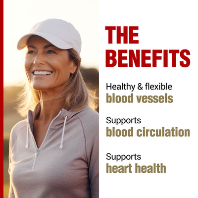 LABO Nutrition VesseCLEAR EX: Nattokinase NSK-SD+Elastin F for Clean & Flexible Blood Vessel. Japan's Most Clinically Studied, Functional Dose, For Cardiovascular, Blood Pressure & Circulation Support - Lifestream Group US