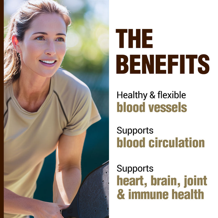 LABO Nutrition Ultimate VesseCLEAR EX Nattokinase NSK-SD 4000FU &amp; Elastin F, Vessel Circulation &amp; Brain Health Support, Japanese Supplement Shelf Stable Acid Resistant DRCaps Delayed Release Capsules - Lifestream Group US