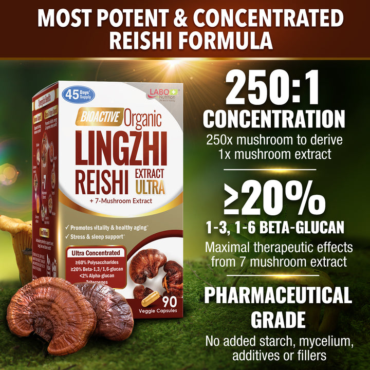 LABO Nutrition Bioactive Organic Lingzhi/Reishi Ultra for Immune Support, Vitality, USDA Organic, 7 Medicinal Mushroom Supplement - Lifestream Group US