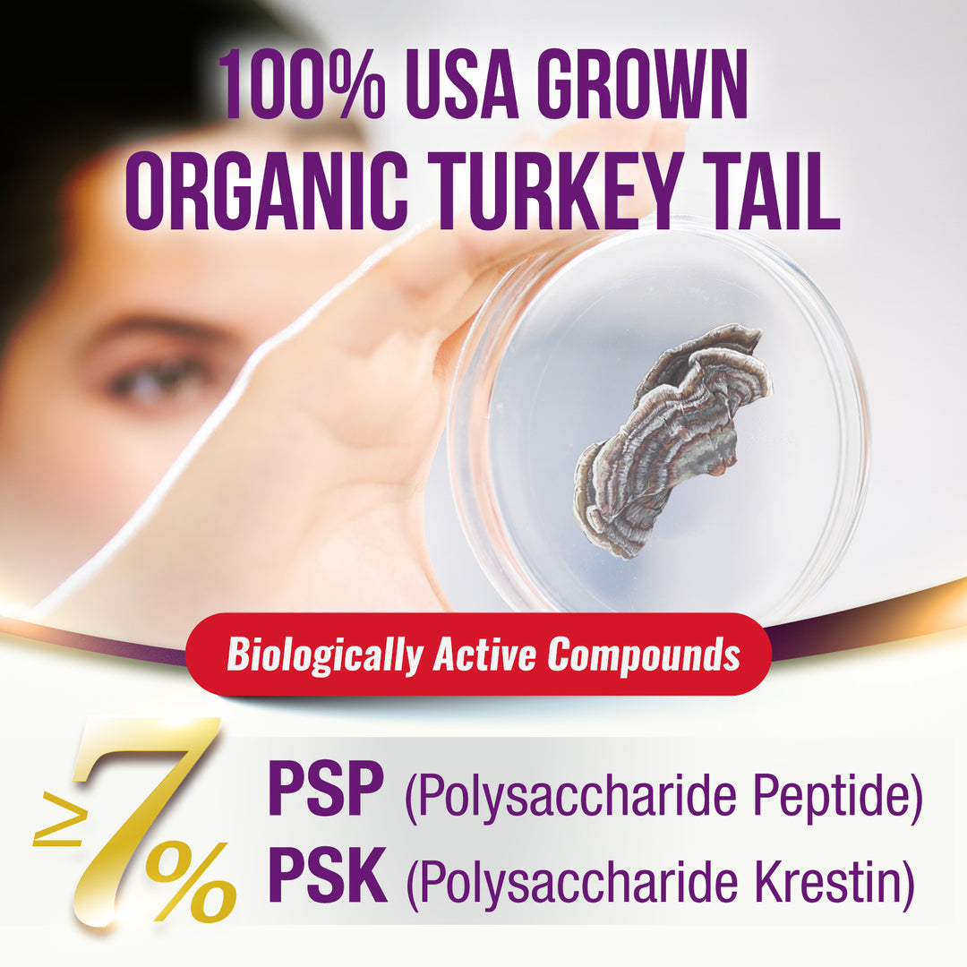 LABO Nutrition Bioactive Organic Yunzhi/ Turkey Tail Ultra, USDA Organic, 8 Medicinal Mushroom Supplement, For Immunity, No Fillers, Vegan - Lifestream Group US