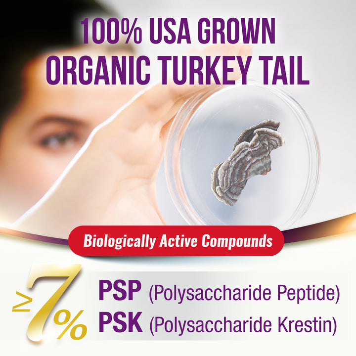 LABO Nutrition Bioactive Organic Yunzhi/ Turkey Tail Ultra, USDA Organic, 8 Medicinal Mushroom Supplement, For Immunity, No Fillers, Vegan - Lifestream Group US