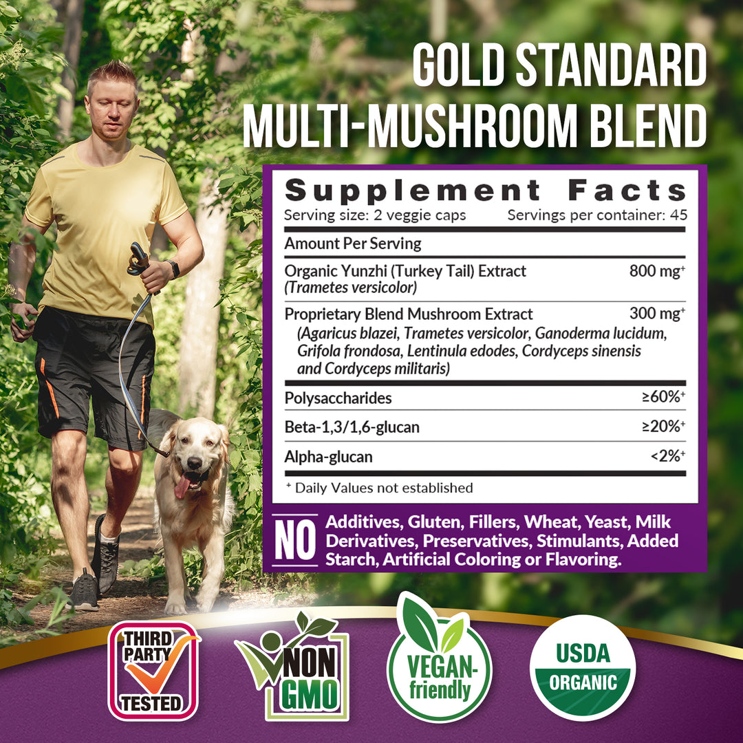 LABO Nutrition Bioactive Organic Yunzhi/ Turkey Tail Ultra, USDA Organic, 8 Medicinal Mushroom Supplement, For Immunity, No Fillers, Vegan - Lifestream Group US