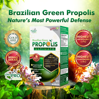 LABO Nutrition Brazilian Green Propolis Ultimate - Contains >7% Artepillin C & >5% Flavonoids, for Immune & Brain Support, Natural, High Concentrate - Lifestream Group US