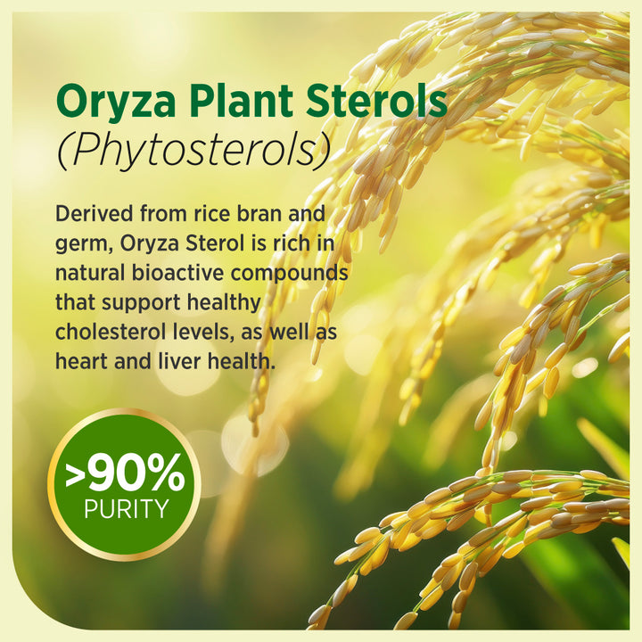 LABO Nutrition CHOLRestore – Red Yeast Rice with Phytosterol Health Supplement, Supports Healthy Cholesterol Levels &amp; Cardiovascular System, Citrinin &amp; Aflatoxin Free - Lifestream Group US