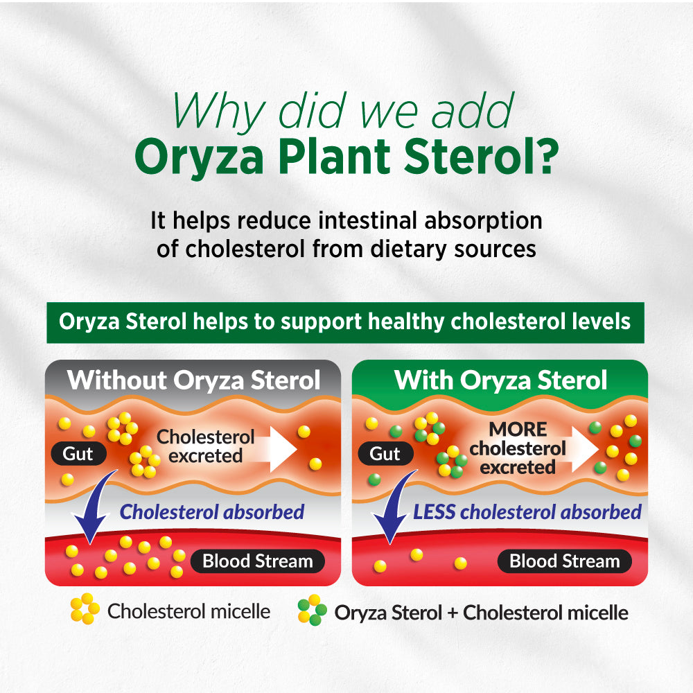 LABO Nutrition CHOLRestore – Red Yeast Rice with Phytosterol Health Supplement, Supports Healthy Cholesterol Levels &amp; Cardiovascular System, Citrinin &amp; Aflatoxin Free - Lifestream Group US