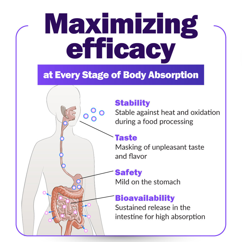 LABO Femme Iron Endosomal SunActive, Non-Irritating 15mg Iron Supplement for Blood Builder, Vegan, Gentle, No Metallic Aftertaste, Non Constipating, Ideal for Sensitive Stomachs, 90 Count - Lifestream Group US