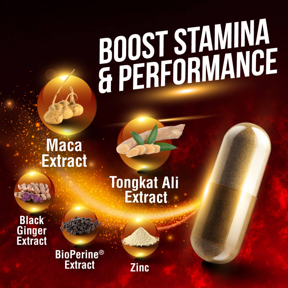 LABO Nutrition MacaMaxima Male Libido Performance Natural Booster Tongkat Ali + Maca for Men Health Energy & Stamina - Lifestream Group US