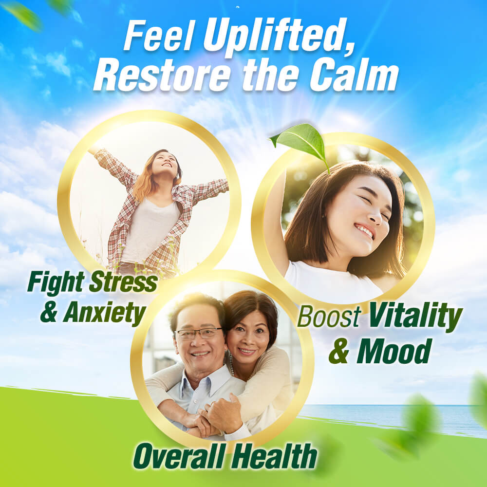 LABO Nutrition AdaptWell Ashwagandha & Rhodiola Rosea Extract - Reduce Stress Calm Mood - Lifestream Group US