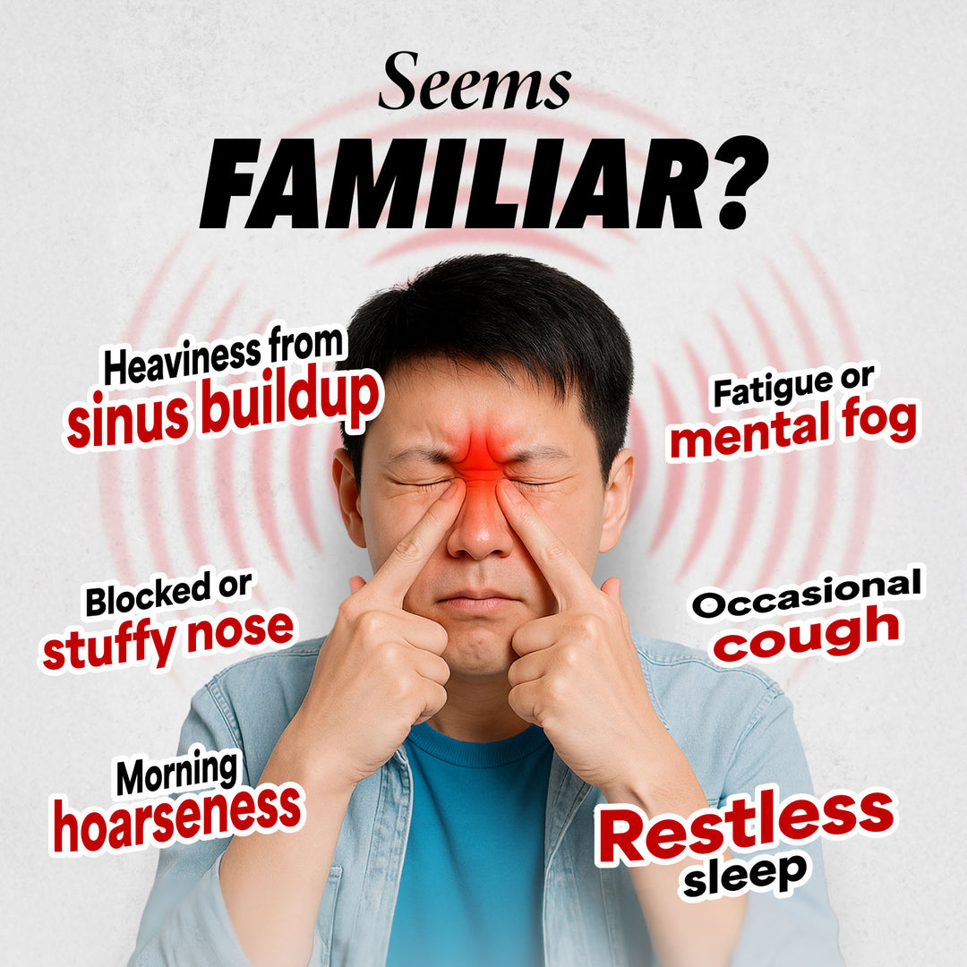LABO Nutrition Airwayz for Sinus Throat Lung Respiratory Immune Brain Health Targeting Congestion Allergy Energy - Lifestream Group US