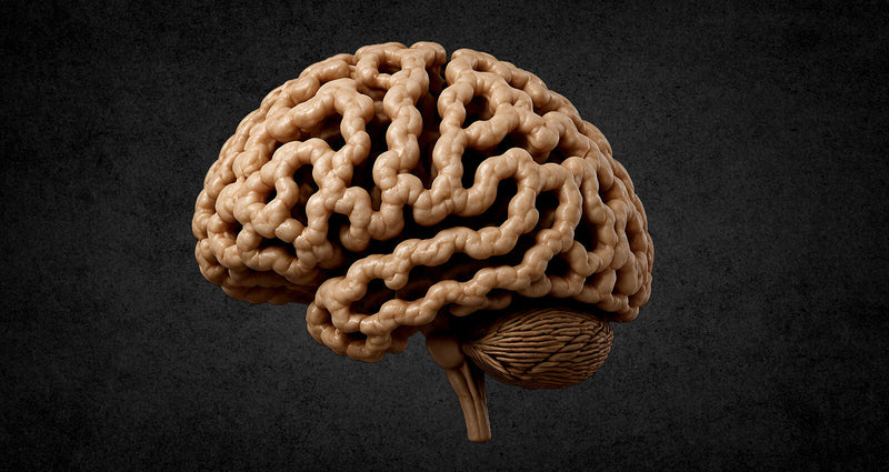 Depleted brain