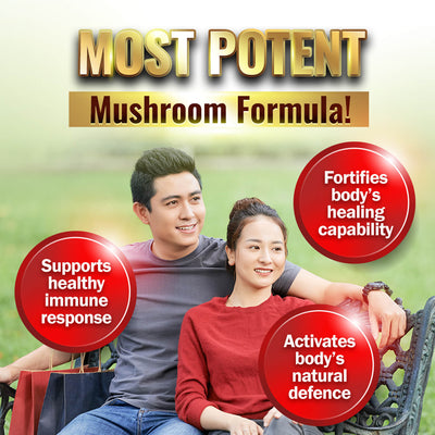 LABO Bioactive Organic BRM + 7 Mushroom Extracts-Advance Immune Health, Body Natural Healing - Lifestream Group US