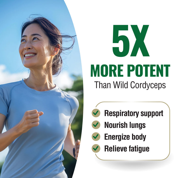 LABO Nutrition Bioactive Organic Cordyceps Ultra—7 Mushroom Extracts—Respiratory Health - Lifestream Group US