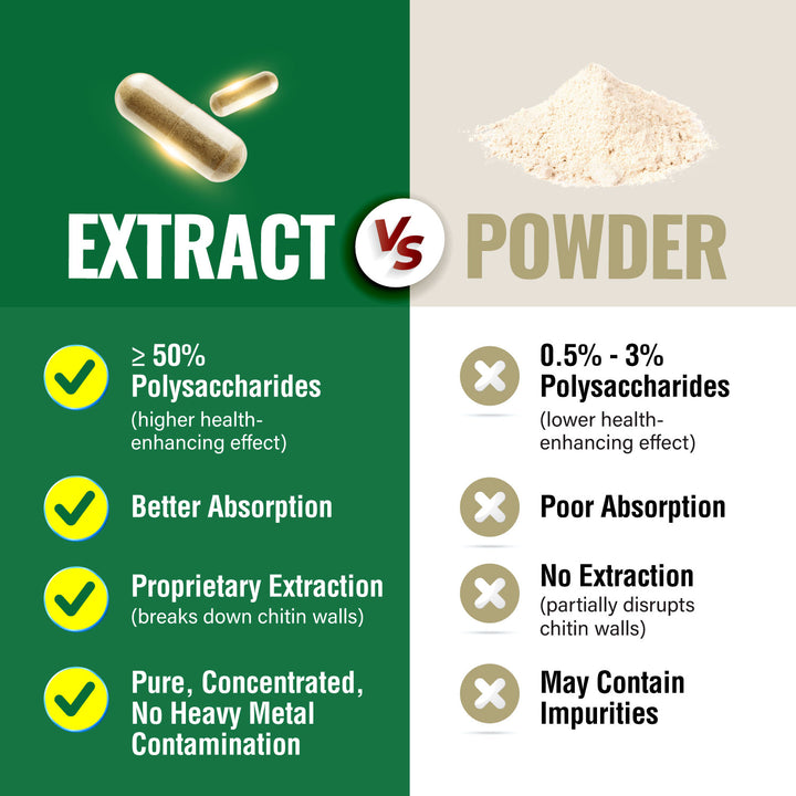 LABO Nutrition Bioactive Organic Cordyceps Ultra—7 Mushroom Extracts—Respiratory Health - Lifestream Group US