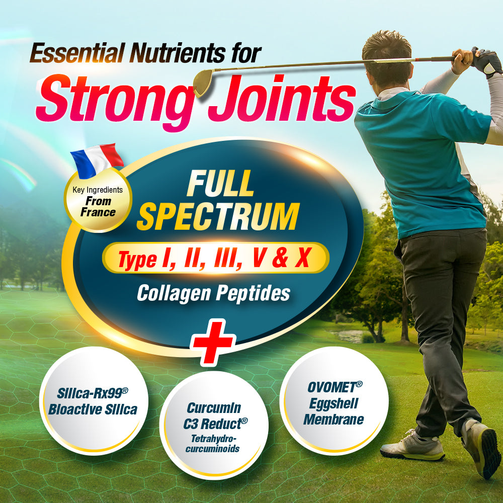 LABO Nutrition FlexC PRO EX Better than Glucosamine Chondroitin MSM Joint Knee Pain Relief - Lifestream Group US