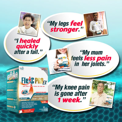 LABO Nutrition FlexC PRO EX Better than Glucosamine Chondroitin MSM Joint Knee Pain Relief - Lifestream Group US