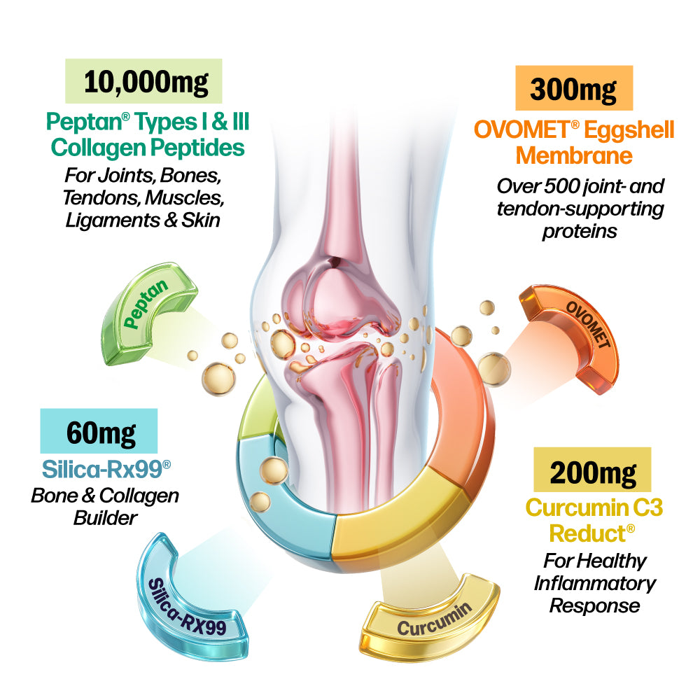 LABO Nutrition FlexC PRO EX with Peptan Type I &amp; III Collagen Peptide, Ovomet Eggshell Membrane, Water Soluble Silica &amp; Curcumin C3 Reduct, for Joints, Bones, Muscles, Tendons, Ligaments - Lifestream Group US