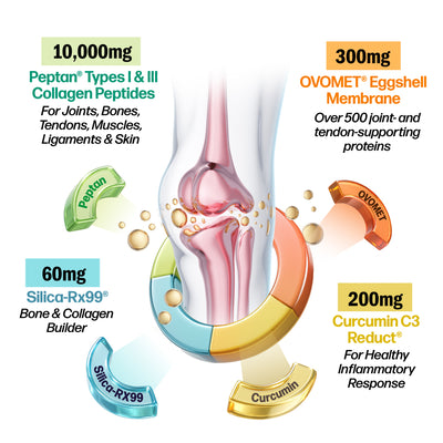 LABO Nutrition FlexC PRO EX with Peptan Type I & III Collagen Peptide, Ovomet Eggshell Membrane, Water Soluble Silica & Curcumin C3 Reduct, for Joints, Bones, Muscles, Tendons, Ligaments - Lifestream Group US