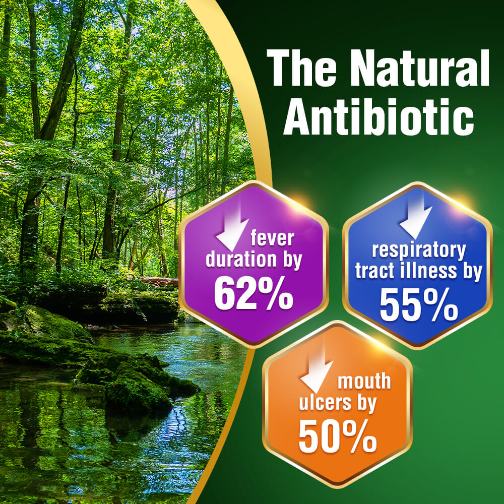 LABO Nutrition Brazilian Green Propolis Ultimate-Immunity Brain Fog Cough Sore Throat Asthma - Lifestream Group US