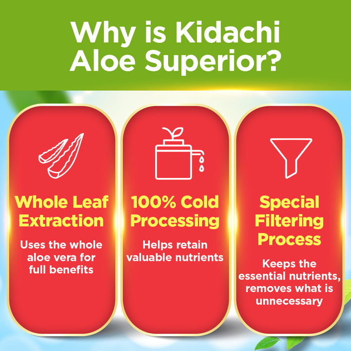 AFC Kidachi Detox—Digestion &amp; Detox - Bloating Gastric Heartburn Probiotic Prebiotic - Lifestream Group US
