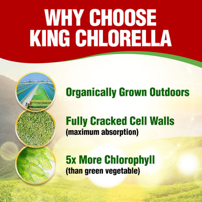 AFC King Chlorella (1000 caplets) Superfood for Detox Digestion Weight Immune Skin - Lifestream Group US