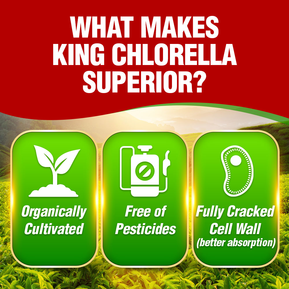 AFC King Chlorella (1000 caplets) Superfood for Detox Digestion Weight Immune Skin - Lifestream Group US